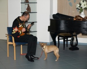 Vladimir Vinogradov Konzert
